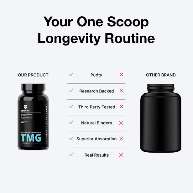 TMG Methylation Support - 90 Capsules