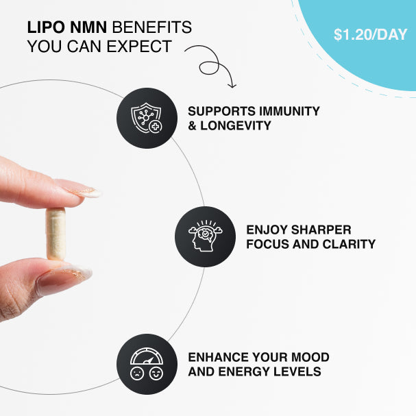 NMN Lipo - 90 Capsules