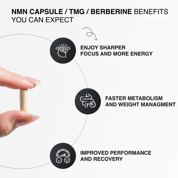 Elite Performance Stack: NMN, TMG & Berberine