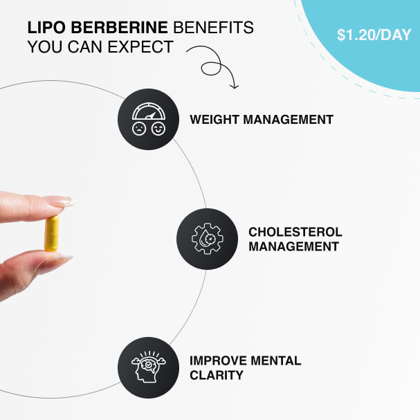 Berberine Lipo - 90 Capsules