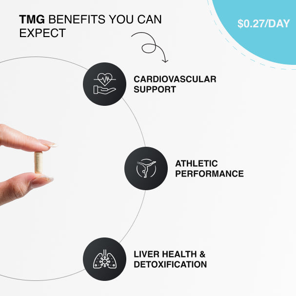 TMG Methylation Support - 90 Capsules