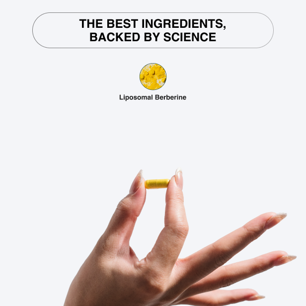 Berberine Lipo - 90 Capsules