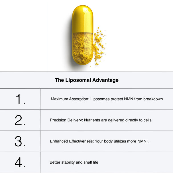 Berberine Lipo - 90 Capsules